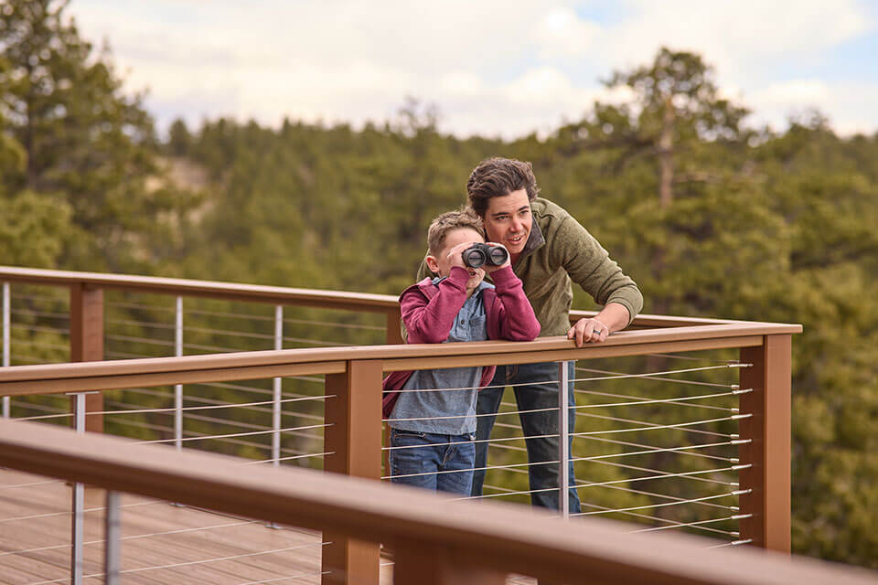 A boy and his parent look through binoculars from a large deck high above the trees in a natural setting.